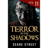 Terror in the Shadows Vol. 11: Horror Short Stories Collection with Scary Ghosts, Paranormal & Supernatural Monsters - Paperback