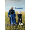 Volunteer Gap - Paperback