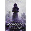 Assassins Below: Tales From Haven City - Paperback