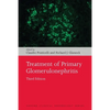 Treatment of Primary Glomerulonephritis - Paperback