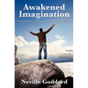Awakened Imagination - Paperback