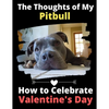 The Thoughts of My Pitbull: How to Celebrate Valentine's Day - Paperback