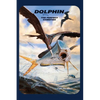 Dolphin: The Perfect Gamefish - Hardcover