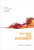 What Comes after Entanglement?: Activism, Anthropocentrism, and an Ethics of Exclusion - Paperback
