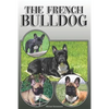 The French Bulldog: A Complete and Comprehensive Owners Guide To: Buying, Owning, Health, Grooming, Training, Obedience, Understanding and - Paperback