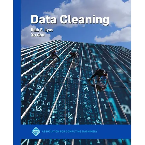 Data Cleaning - Paperback
