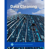 Data Cleaning - Paperback