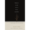When God Lets You Down: Trusting Again After Pain and Loss - Paperback