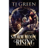 Storm Moon Rising: Paranormal Mysteries - Paperback