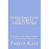Introduction to Subtle Energy Work: Pathways to Shen Ching Instruction Manual - Paperback
