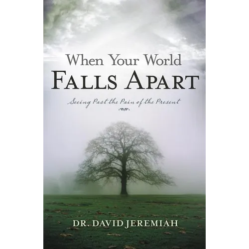 When Your World Falls Apart: See Past the Pain of the Present - Paperback