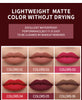 HANDAIYAN Popular Matte Matte Velvet 12 Colors Lip Gloss Liquid Lipstick Lip Glaze