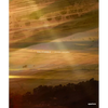 John Chiara: California - Hardcover