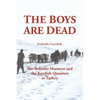 The Boys Are Dead: The Roboski Massacre and the Kurdish Question in Turkey - Paperback