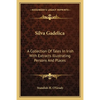 Silva Gadelica: A Collection of Tales in Irish with Extracts Illustrating Persons and Places - Paperback