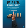 Data Risk Management: Essentials to implement an Enterprise Control Environment - Paperback