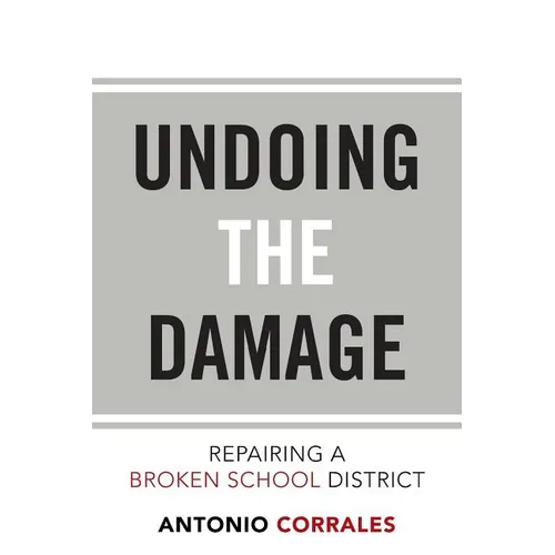 Undoing the Damage: Repairing a Broken School District - Paperback