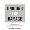 Undoing the Damage: Repairing a Broken School District - Paperback
