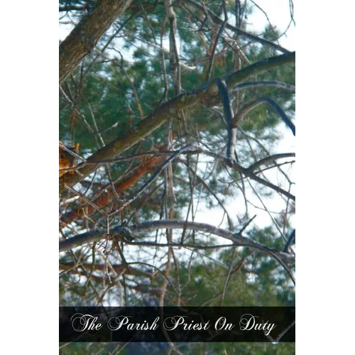 The Parish Priest On Duty: A Practical Manual For Pastors, Curates, And Theological Students Preparing For The Mission - Paperback