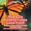 Where Do Butterfly Colors Come From? - Butterfly Anatomy Science for Kids (Lepidopterology) - Children's Biological Science of Butterflies Books - Paperback