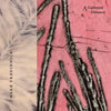 A Gathered Distance: Poems - Paperback