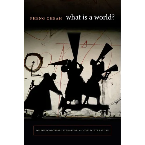 What Is a World?: On Postcolonial Literature as World Literature - Paperback
