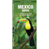 Mexico Birds: A Folding Pocket Guide to Familiar Species