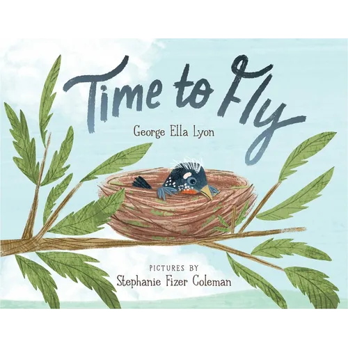 Time to Fly - Hardcover