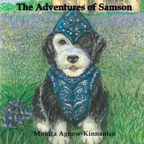 The Adventures of Samson - Paperback