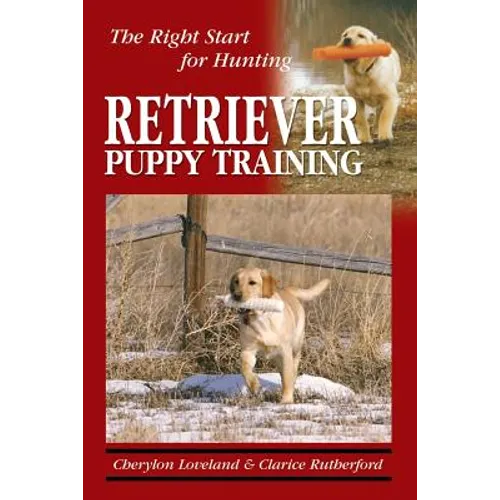Retriever Puppy Training: The Right Start for Hunting - Paperback