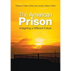The American Prison: Imagining a Different Future - Paperback