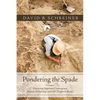 Pondering the Spade: Discussing Important Convergences Between Archaeology and Old Testament Studies - Hardcover