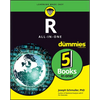 R All-In-One for Dummies - Paperback