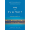 Trust in Awakening: A Zen Teaching on Accessing the Absolute - Paperback