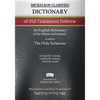 Mickelson Clarified Dictionary of Old Testament Hebrew, MCT: A Hebrew to English Dictionary of the Clarified Textus Receptus - Paperback