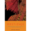 Mestizaje: Remapping Race, Culture, and Faith in Latina/O Catholicism - Paperback