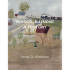 Wasco, Illinois: A History - Paperback