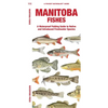 Manitoba Fishes: A Folding Guide to Native and Introduced Freshwater Species - Paperback