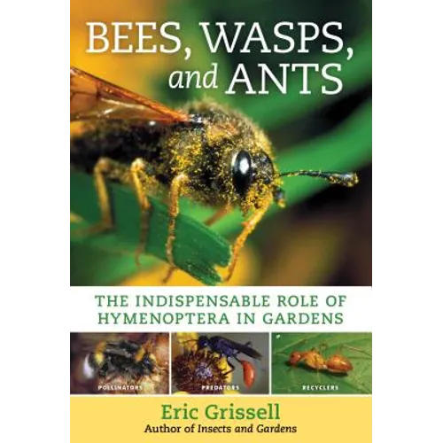 Bees, Wasps, and Ants: The Indispensable Role of Hymenoptera in Gardens - Paperback