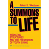 A Summons to Life:: Mediating Structures and the Prevention of Youth Crime - Paperback