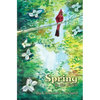 Spring in the Forest: A Seasons in the Forest Book - Hardcover