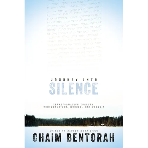 Journey Into Silence: Transformation Through Contemplation, Wonder, and Worship - Paperback