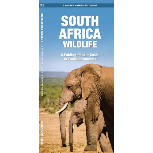 South Africa Wildlife: A Folding Pocket Guide to Familiar Animals - Paperback