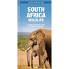 South Africa Wildlife: A Folding Pocket Guide to Familiar Animals - Paperback