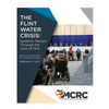 The Flint Water Crisis: Systemic Racism Through the Eyes of Flint - Paperback