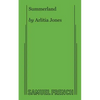 Summerland - Paperback