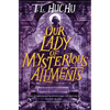 Our Lady of Mysterious Ailments - Paperback