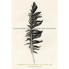 Listening to Noise and Silence: Towards a Philosophy of Sound Art - Paperback