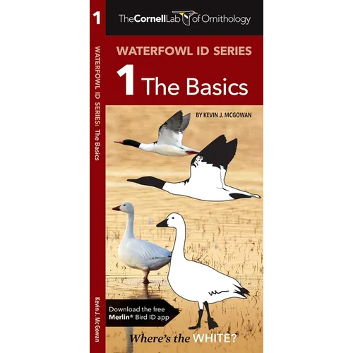Cornell Lab of Ornithology Waterfowl Id Series: 1 the Basics: Cornell Lab of Ornithology Bird Id Series - Paperback