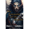 The Assassin of the Storm - Paperback